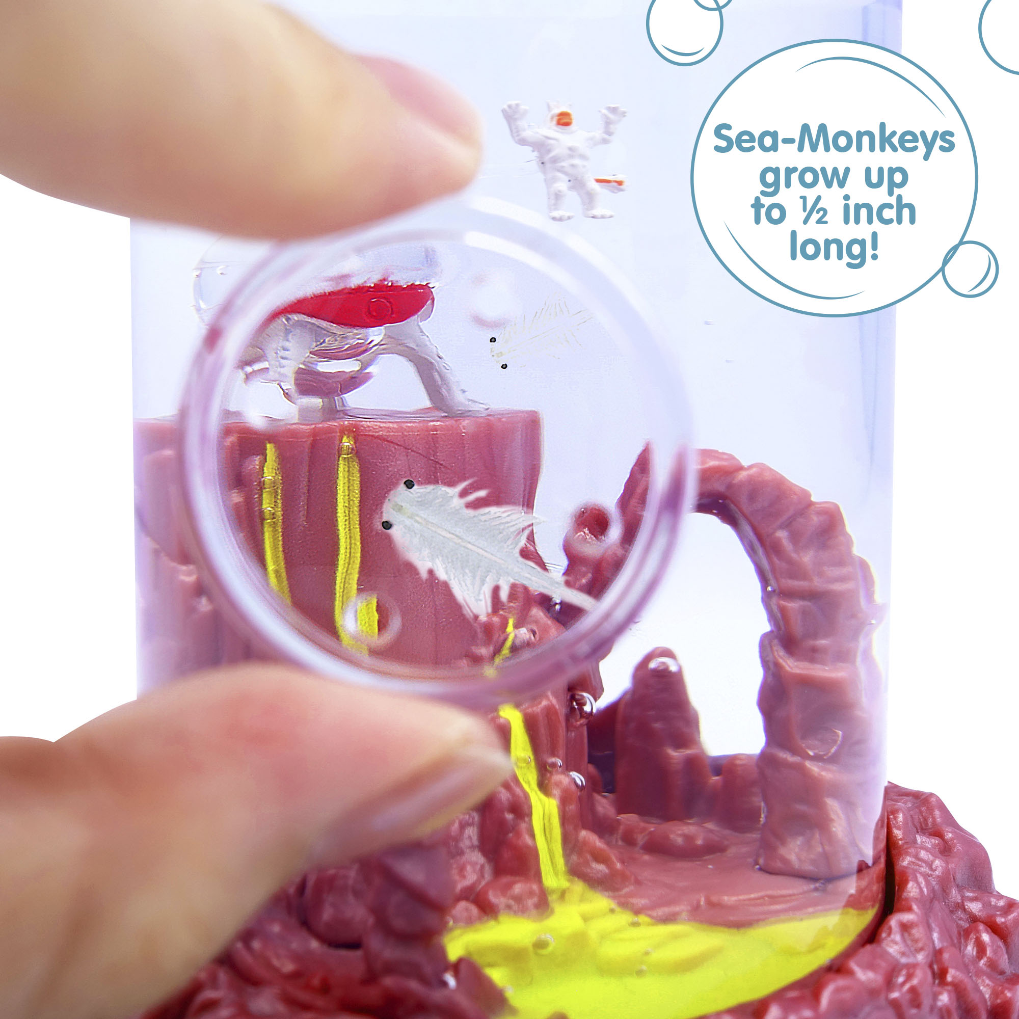 Sea-Monkeys On Mars - Image 4